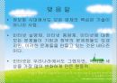 인터넷종량제,사회문제,이슈,마케팅,브랜드,브랜드마케팅,기업,서비스마케팅,글로벌,경영,시장,사례,swot,stp,4p 9페이지