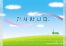 인터넷종량제,사회문제,이슈,마케팅,브랜드,브랜드마케팅,기업,서비스마케팅,글로벌,경영,시장,사례,swot,stp,4p 10페이지