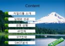 자일리톨,성공사례,마케팅사례,마케팅,브랜드,브랜드마케팅,기업,서비스마케팅,글로벌,경영,시장,사례,swot,stp,4p 2페이지