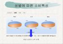 주류산업분석,주류시장분석,마케팅,브랜드,브랜드마케팅,기업,서비스마케팅,글로벌,경영,시장,사례,swot,stp,4p 11페이지