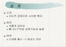 주류산업분석,주류시장분석,마케팅,브랜드,브랜드마케팅,기업,서비스마케팅,글로벌,경영,시장,사례,swot,stp,4p 16페이지