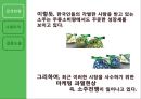 주류시장,마케팅사례,마케팅,브랜드,브랜드마케팅,기업,서비스마케팅,글로벌,경영,시장,사례,swot,stp,4p 5페이지