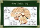 치매와 기능성 식품.PPT자료 3페이지