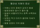 치매와 기능성 식품.PPT자료 18페이지