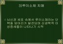 치매와 기능성 식품.PPT자료 19페이지