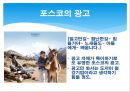 포스코 (해외(인도, 중국) 진출 전략, 해외 진출 전략의 변화, 포스코 중남미 시장 공략).PPT자료 4페이지