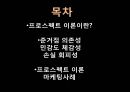 프로스펙트 이론 (prospect theory).PPT자료 2페이지