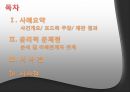 포드(Ford)의 윤리적 결함 Pinto(핀토).PPT자료 2페이지