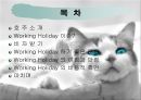 호주 워킹 홀리데이 (Working Holiday).PPT자료 2페이지