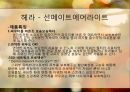 [디지털 사회와 소비자] 선택상품 선크림 !! 다가오는 여름!! 태양으로부터 피부를 보호하자!!.PPT자료 9페이지
