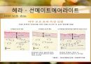 [디지털 사회와 소비자] 선택상품 선크림 !! 다가오는 여름!! 태양으로부터 피부를 보호하자!!.PPT자료 10페이지