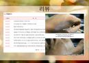 [디지털 사회와 소비자] 선택상품 선크림 !! 다가오는 여름!! 태양으로부터 피부를 보호하자!!.PPT자료 17페이지