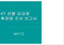 KT 선불 요금제 확장화 조사 보고서.PPT자료 1페이지