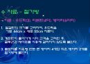 교재연구 및 지도법계획안 (동물이름 맞추어 보아요 & 병아리와 애벌레로 게임을 해보아요 & 여우와 두루미가 되어보아요).ppt 18페이지