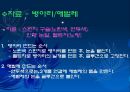 교재연구 및 지도법계획안 (동물이름 맞추어 보아요 & 병아리와 애벌레로 게임을 해보아요 & 여우와 두루미가 되어보아요).ppt 20페이지