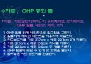 교재연구 및 지도법계획안 (동물이름 맞추어 보아요 & 병아리와 애벌레로 게임을 해보아요 & 여우와 두루미가 되어보아요).ppt 36페이지
