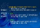 교재연구 및 지도법계획안 (동물이름 맞추어 보아요 & 병아리와 애벌레로 게임을 해보아요 & 여우와 두루미가 되어보아요).ppt 43페이지