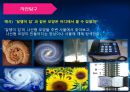 창의성교육-누리교육과정예시계획안 8페이지