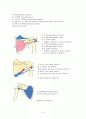 회전근개파열(Rotator cuff rupture)과 수술간호 8페이지