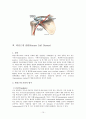 회전근개파열(Rotator cuff rupture)과 수술간호 10페이지