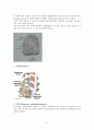 척추관협착증(spinal stenosis)과 치료 5페이지