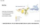 도시재생 11페이지