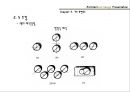 6.건축과표현 25페이지