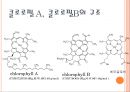 Absorption Spectrum of Chlorophyll 6페이지