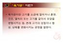 육가공과 가공품 3페이지