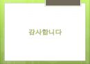 [★우수레포트★][디딤씨앗통장] 디딤 씨앗 통장 프로그램 (CDA) - 디딤씨앗통장의 목표, 대상, 특징, 필요성, 급여, 디딤씨앗통장의 문제점과 해결방안 제언.PPT자료 16페이지