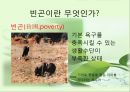 [★우수레포트★][빈곤 복지] 빈곤, 사회적 배제, 복지국가 - 빈곤의 개념, 빈곤층의 특징, 복지현황, 복지국가이론, 영국의 복지, 세계의 빈곤복지를 통한 전망.PPT자료 5페이지