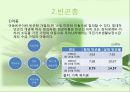 [★우수레포트★][빈곤 복지] 빈곤, 사회적 배제, 복지국가 - 빈곤의 개념, 빈곤층의 특징, 복지현황, 복지국가이론, 영국의 복지, 세계의 빈곤복지를 통한 전망.PPT자료 15페이지