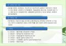 [★우수레포트★][빈곤 복지] 빈곤, 사회적 배제, 복지국가 - 빈곤의 개념, 빈곤층의 특징, 복지현황, 복지국가이론, 영국의 복지, 세계의 빈곤복지를 통한 전망.PPT자료 48페이지