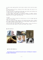 [★우수레포트★][청소년 심리] 청소년의 심리부적응의 원인, 유형, 청소년 심리부적응 예방 및 치료방안 8페이지