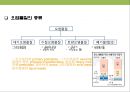 탄소 배출권의 이해 & 탄소 펀드 시장의 현황.PPT자료 4페이지