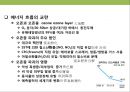 탄소 배출권의 이해 & 탄소 펀드 시장의 현황.PPT자료 12페이지