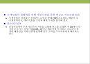 탄소 배출권의 이해 & 탄소 펀드 시장의 현황.PPT자료 43페이지