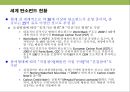 탄소 배출권의 이해 & 탄소 펀드 시장의 현황.PPT자료 44페이지