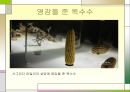 디스플레이 디자인 발상의 사례분석.PPT자료 7페이지