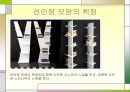 디스플레이 디자인 발상의 사례분석.PPT자료 15페이지