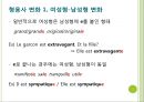 [문법] ADJECTIF (형용사).PPT자료 3페이지