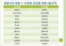 [문법] ADJECTIF (형용사).PPT자료 5페이지