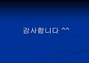 인터넷 언어의 이중성 (인터넷 언어의 등장, 유형, 원인, 기능, 10대들의 인터넷 언어).PPT자료 16페이지