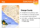 오렌지 카운티의 금융 위기 : 사례 연구 (Orange County`s Financial Crisis : Case Study).PPT자료 2페이지