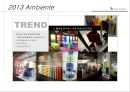 2013 Ambiente(암비엔테) 국제소비재 박람회보고서.ppt 13페이지