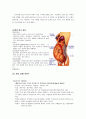 자연분만（NSFD) 5페이지