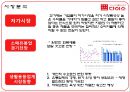 다이소(Daiso) 기업분석.ppt 10페이지