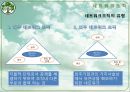 유한양행 기업분석.ppt 17페이지