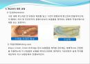 임플란트(Implant)와 관교의치의 개념 및 용어정리.ppt 35페이지