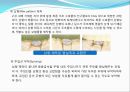 임플란트(Implant)와 관교의치의 개념 및 용어정리.ppt 41페이지